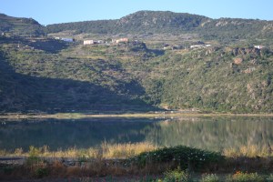 Colombini- Week One Blog Photo - Copy