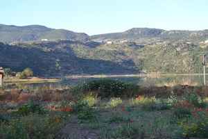 Heather- Week One Blog Photo - Copy