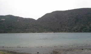 CLAS 4V85 Shuert Week 3 Photo