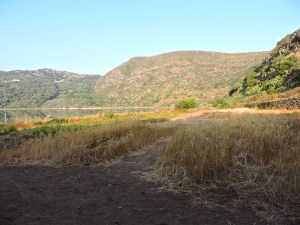 Colombini. Week 4 Blog Photo