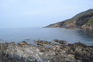 Heather- Week Two Blog Photo